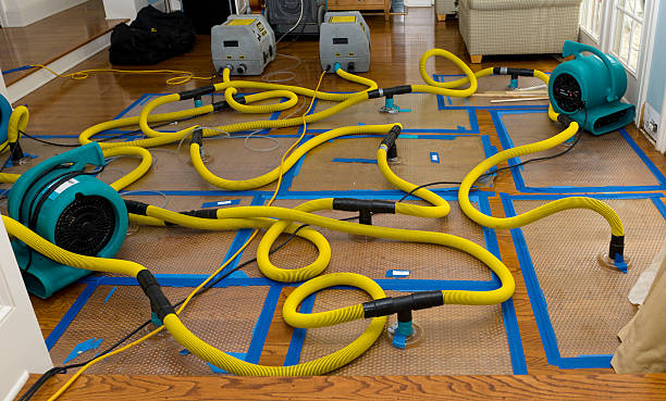 Professional Emergency Water Removal technician working in Chana, IL